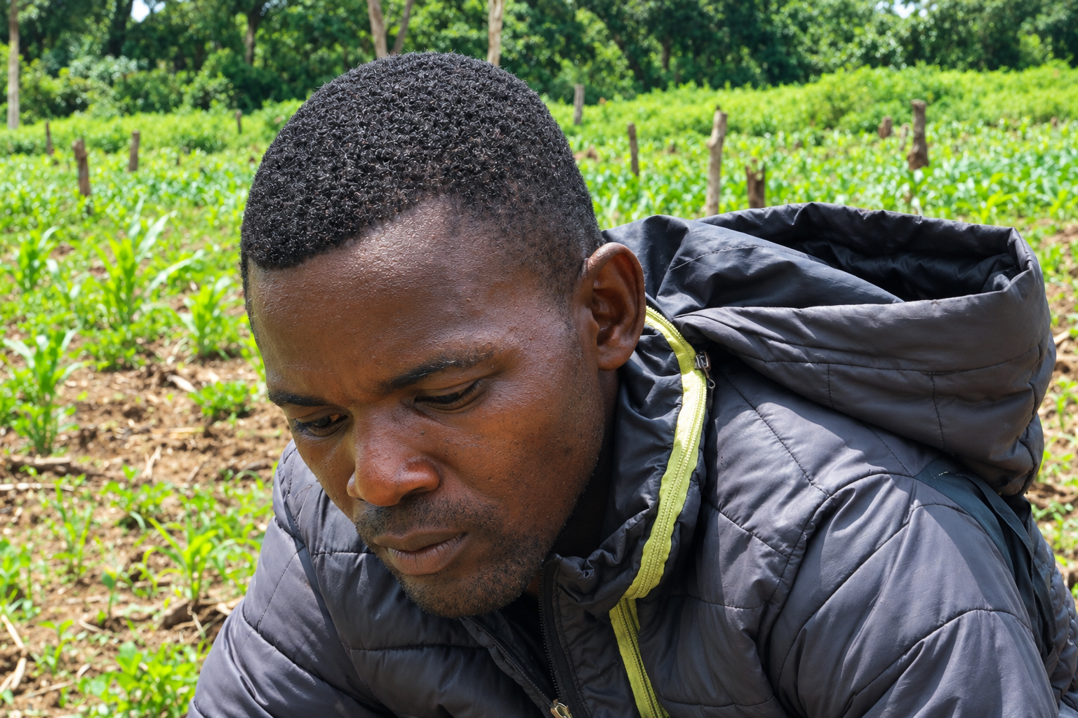 Thierry débroussaille son champ avec l’accompagnement et le suivi des Relais Techniques Agricoles (RTA), pour favoriser de bonnes pratiques agricoles et améliorer sa production dans le quartier Nouvelle Base, à Mbrès/ @David Herson Ningatoloum Boul